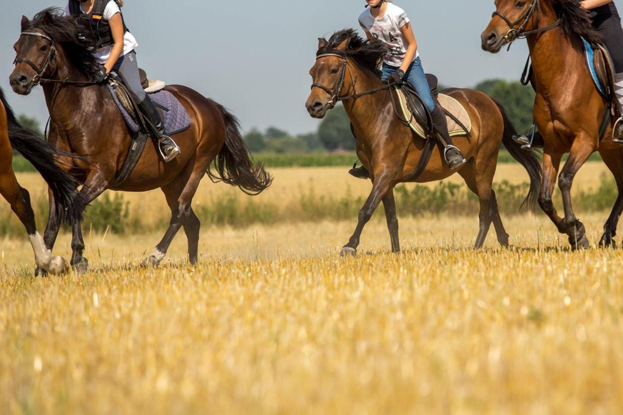 Ferienwohnungen Georgenbruch Everswinkel 外观 照片