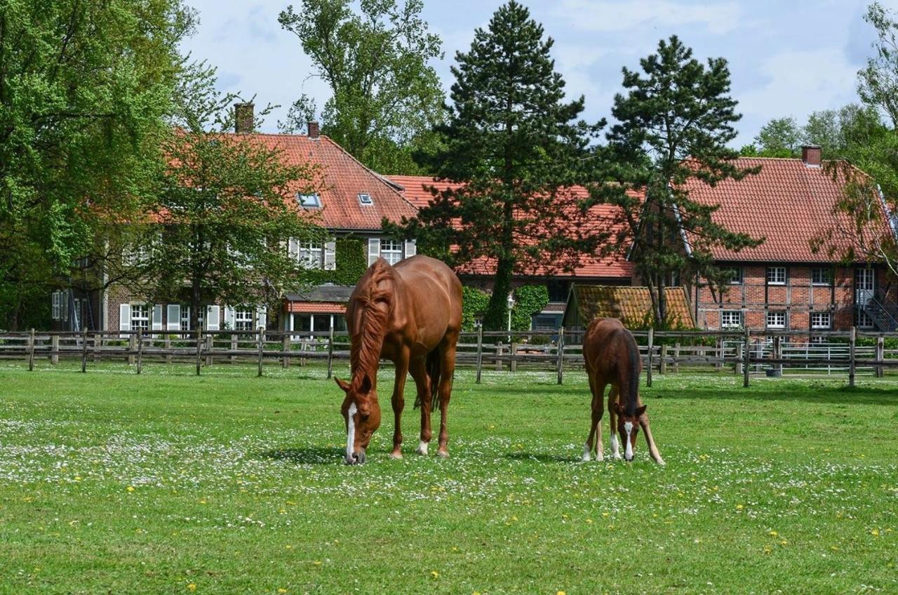 Ferienwohnungen Georgenbruch Everswinkel 外观 照片
